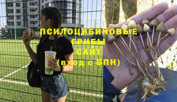 марки nbome Ладушкин