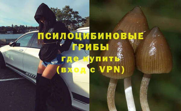 марки nbome Ладушкин