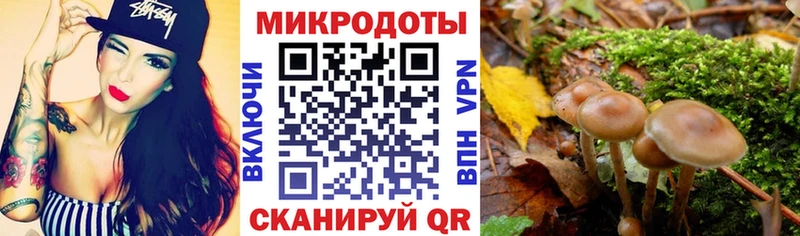 Псилоцибиновые грибы Magic Shrooms  Новая Усмань 